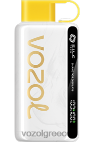 ακτινίδιο γκουάβα πάθους VOZOL STAR 9000/12000 Z0HHV25 VOZOL vape store