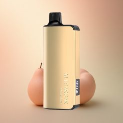 Alibarbar Ingot 9000 Puffs Ψυχρή Δυόσμος 2350mAh 22ml